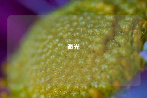 微光