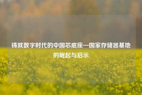 铸就数字时代的中国芯底座—国家存储器基地的崛起与启示