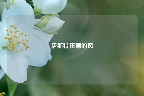 伊斯特伍德的风