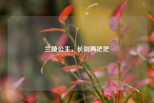 兰陵公主，长别两茫茫