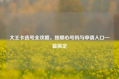 大王卡选号全攻略,挑顺心号码与申请入口一篇搞定