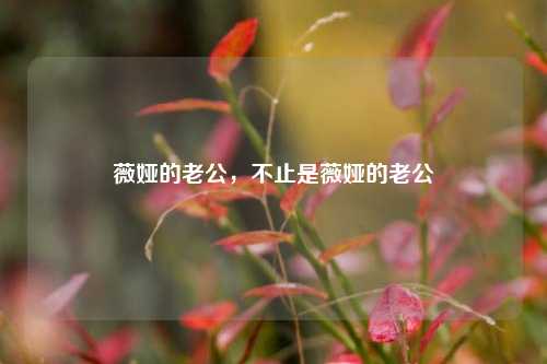 薇娅的老公,不止是薇娅的老公