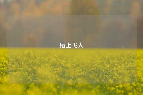 稻上飞人