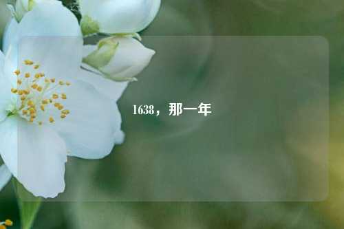 1638，那一年