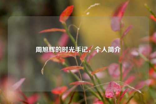 周旭辉的时光手记，个人简介