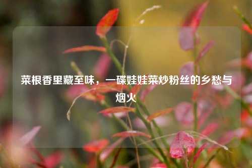 菜根香里藏至味，一碟娃娃菜炒粉丝的乡愁与烟火