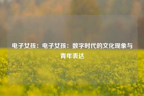 电子女孩：电子女孩：数字时代的文化现象与青年表达