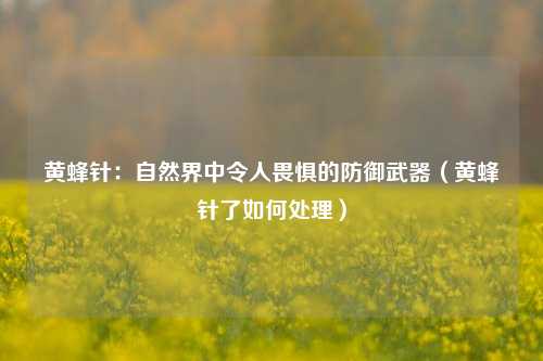 黄蜂针：自然界中令人畏惧的防御武器（黄蜂针了如何处理）