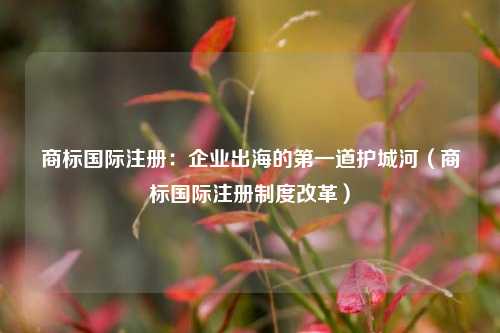商标国际注册：企业出海的第一道护城河（商标国际注册制度改革）