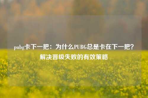 pubg卡下一把：为什么PUBG总是卡在下一把？解决晋级失败的有效策略