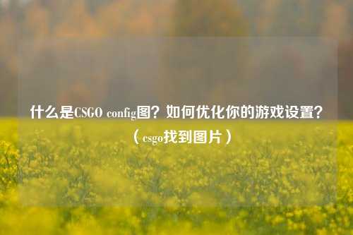 什么是CSGO config图？如何优化你的游戏设置？（csgo找到图片）