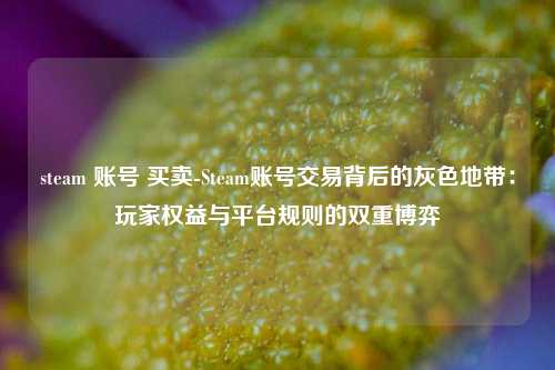 steam 账号 买卖-Steam账号交易背后的灰色地带：玩家权益与平台规则的双重博弈