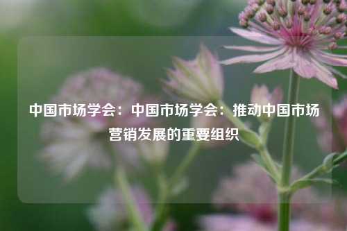 中国市场学会:中国市场学会:推动中国市场营销发展的重要组织