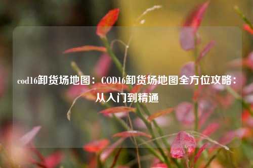 cod16卸货场地图：COD16卸货场地图全方位攻略：从入门到精通