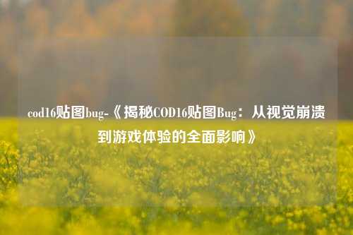 cod16贴图bug-《揭秘COD16贴图Bug：从视觉崩溃到游戏体验的全面影响》