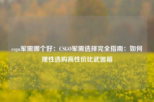 csgo军需哪个好：CSGO军需选择完全指南：如何理性选购高性价比武器箱