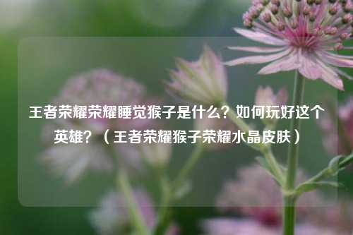 王者荣耀荣耀睡觉猴子是什么？如何玩好这个英雄？（王者荣耀猴子荣耀水晶皮肤）