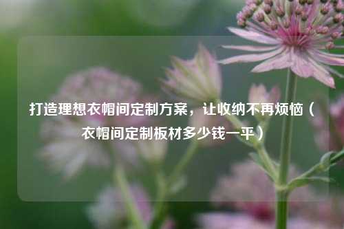 打造理想衣帽间定制方案，让收纳不再烦恼（衣帽间定制板材多少钱一平）