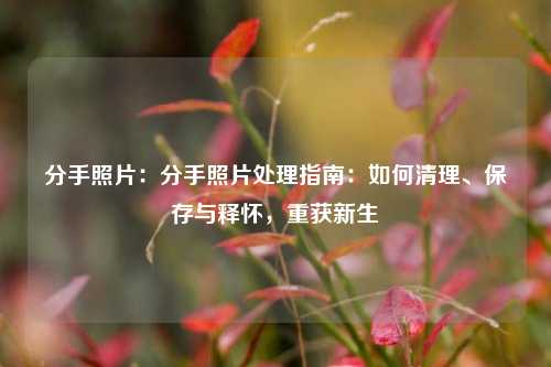 分手照片：分手照片处理指南：如何清理、保存与释怀，重获新生