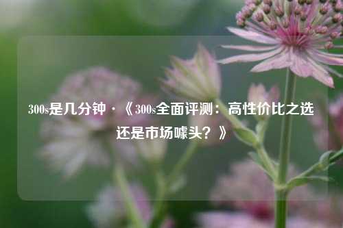 300s是几分钟·《300s全面评测：高性价比之选还是市场噱头？》