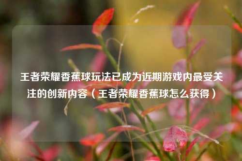 王者荣耀香蕉球玩法已成为近期游戏内最受关注的创新内容（王者荣耀香蕉球怎么获得）