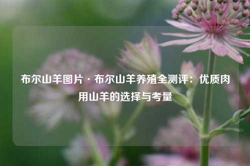 布尔山羊图片·布尔山羊养殖全测评：优质肉用山羊的选择与考量