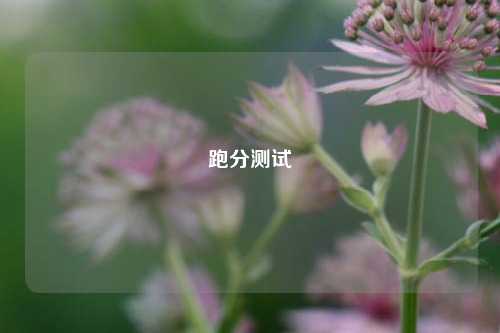 跑分测试