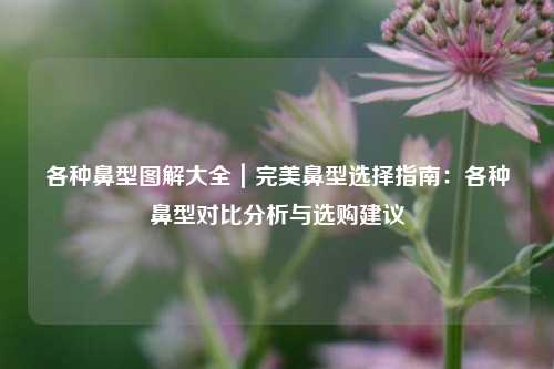 各种鼻型图解大全｜完美鼻型选择指南：各种鼻型对比分析与选购建议