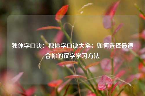 独体字口诀：独体字口诀大全：如何选择最适合你的汉字学习方法