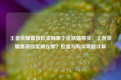 王者荣耀蔷薇珍宝阁哪个皮肤值得买：王者荣耀蔷薇珍宝阁在哪？位置与购买攻略详解