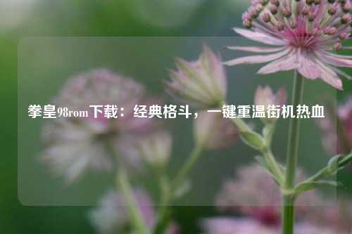 拳皇98rom下载：经典格斗，一键重温街机热血