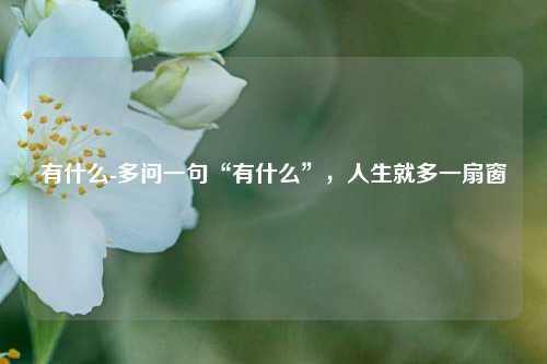 有什么-多问一句“有什么”，人生就多一扇窗